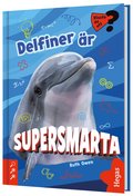 Delfiner är supersmarta