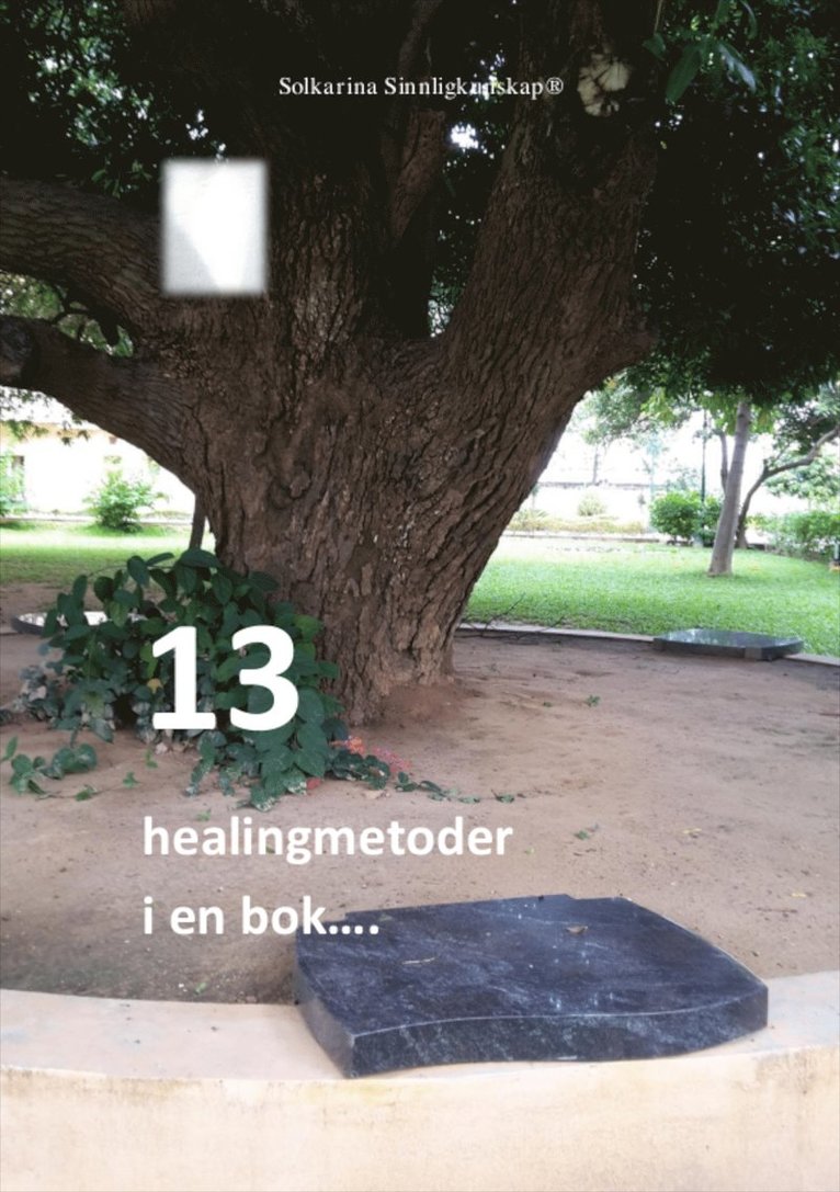 Solkarina - 13 healingmetoder i en bok, E-bok