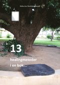 13 healingmetoder i en bok 