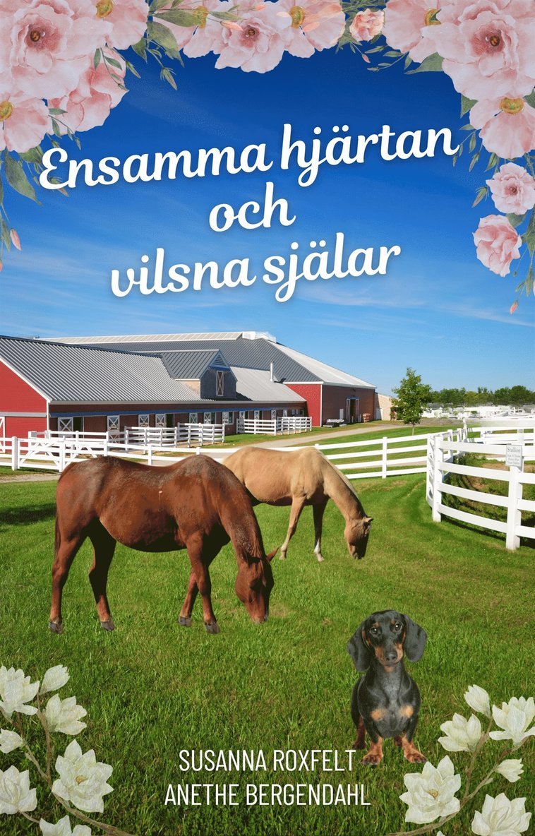 Anethe Bergendahl, Susanna Roxfelt - Ensamma hjärtan och vilsna själar, E-bok