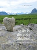 Jag ska bra din sorg till Nikkaluokta : en vandring i Dag Hammarskjlds fotspr