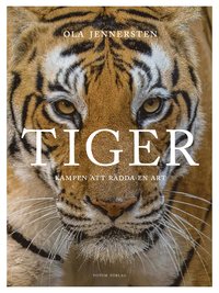 Tiger : kampen att rädda en art
