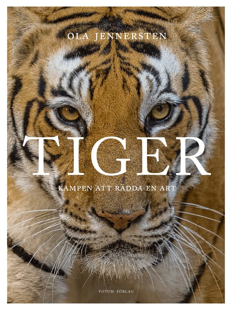 Ola Jennersten - Tiger : kampen att rädda en art, Inbunden
