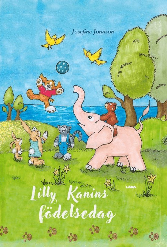Josefine Jonason - Lilly kanins födelsedag, Inbunden
