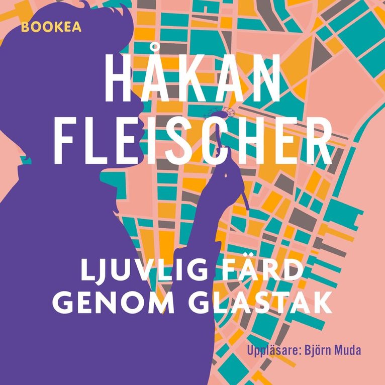 Håkan Fleischer - Ljuvlig färd genom glastak, Ljudbok