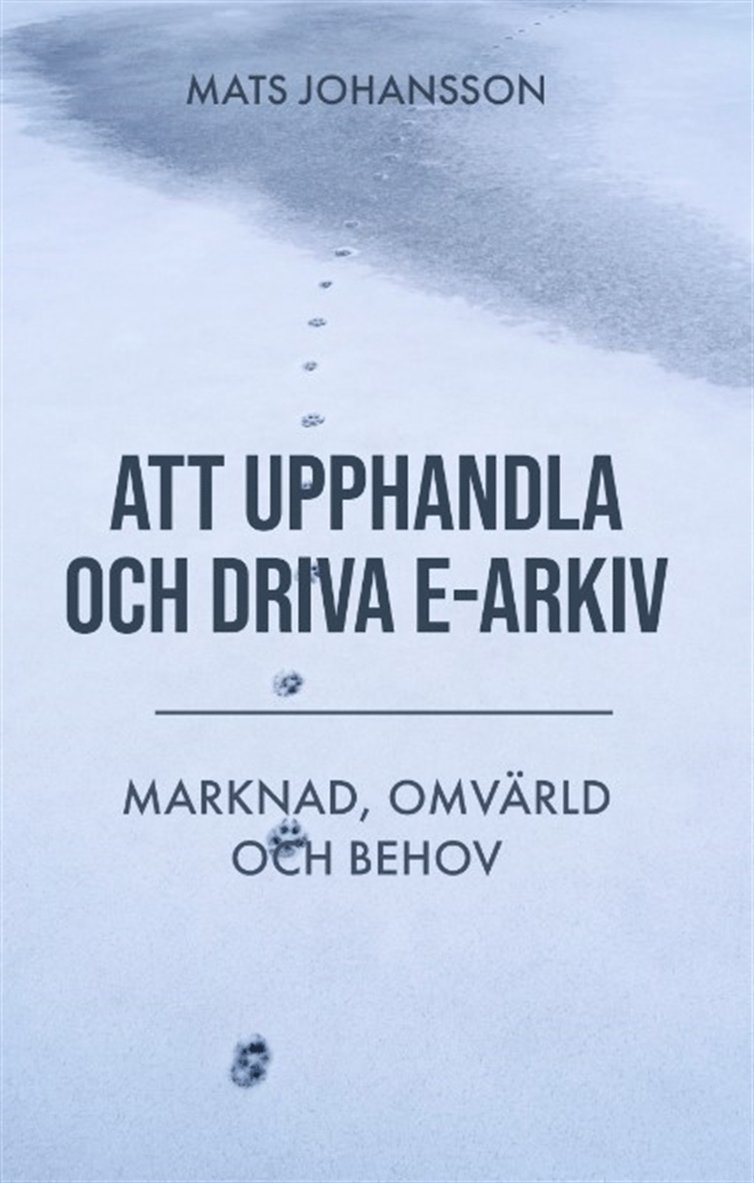 Mats Johansson - Att upphandla och driva e-arkiv : marknad, omvärld och behov, E-bok