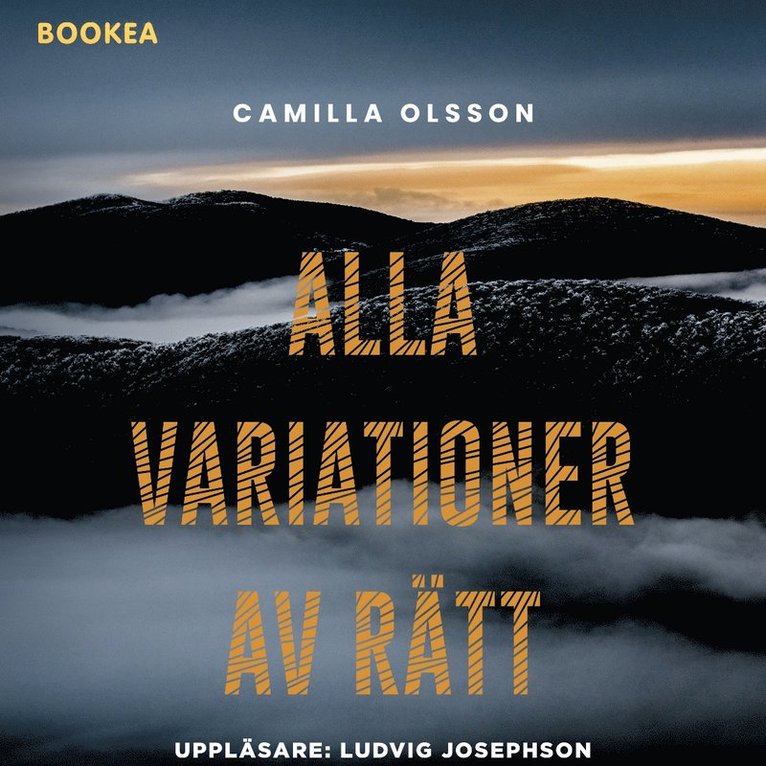 Camilla Olsson - Alla variationer av rätt, Ljudbok