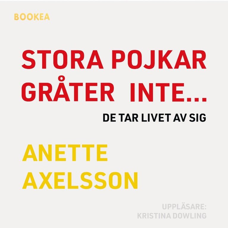 Anette Axelsson - Stora pojkar gråter inte... de tar livet av sig, Ljudbok