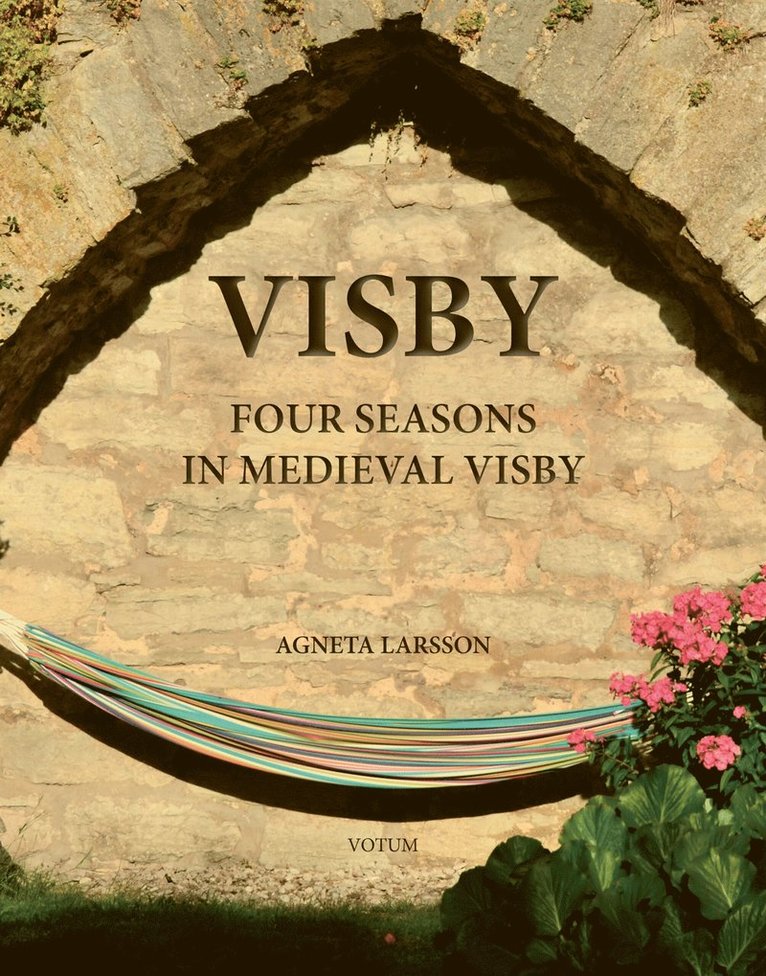Agneta Larsson - VISBY - Four Seasons in Medieval Visby, E-bok