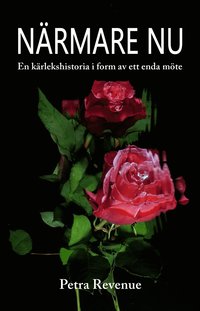 Nrmare nu : en krlekshistoria i form av ett enda mte