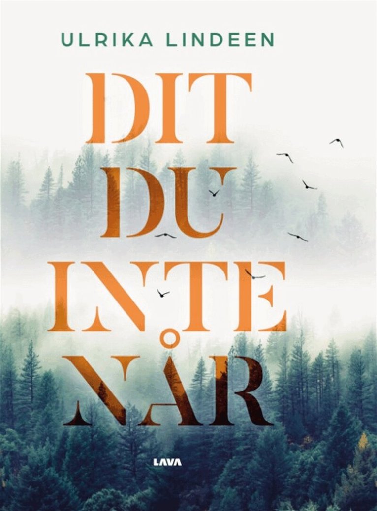 Ulrika Lindeen - Dit du inte når, E-bok
