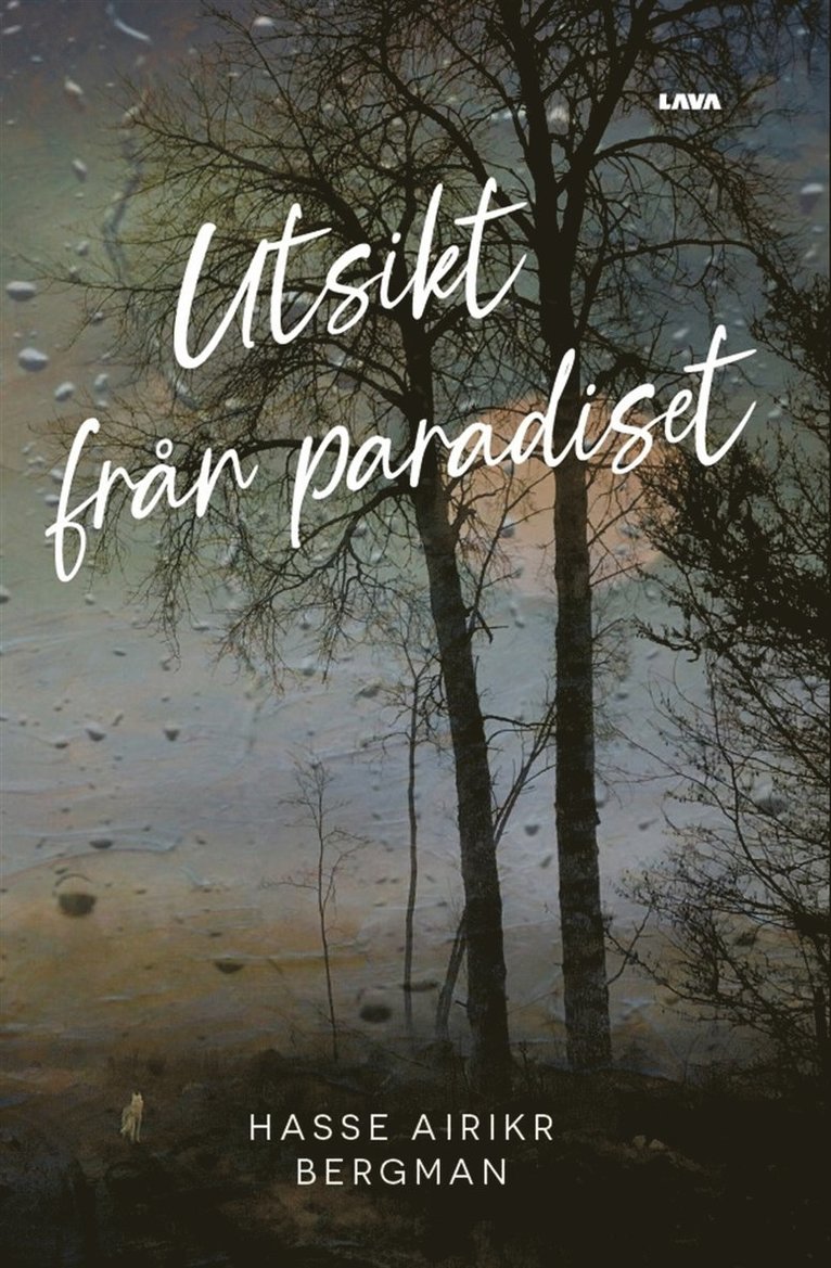 Hasse Airikr Bergman - Utsikt från paradiset, E-bok