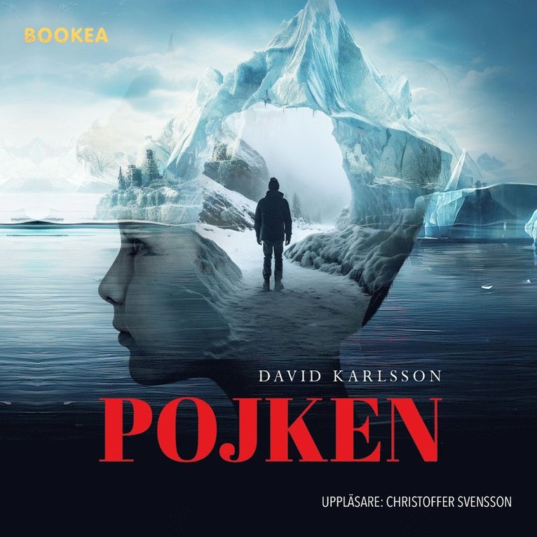 David Karlsson - Pojken, Ljudbok