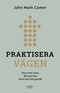 Praktisera vgen