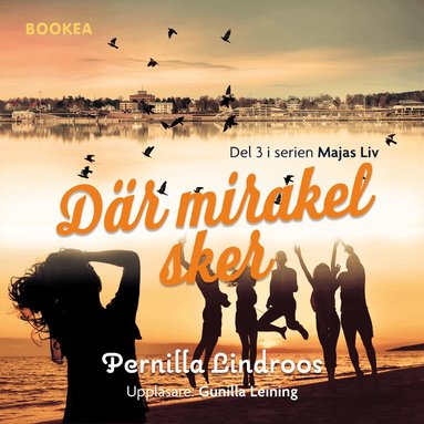 Pernilla Lindroos - Där mirakel sker, Ljudbok