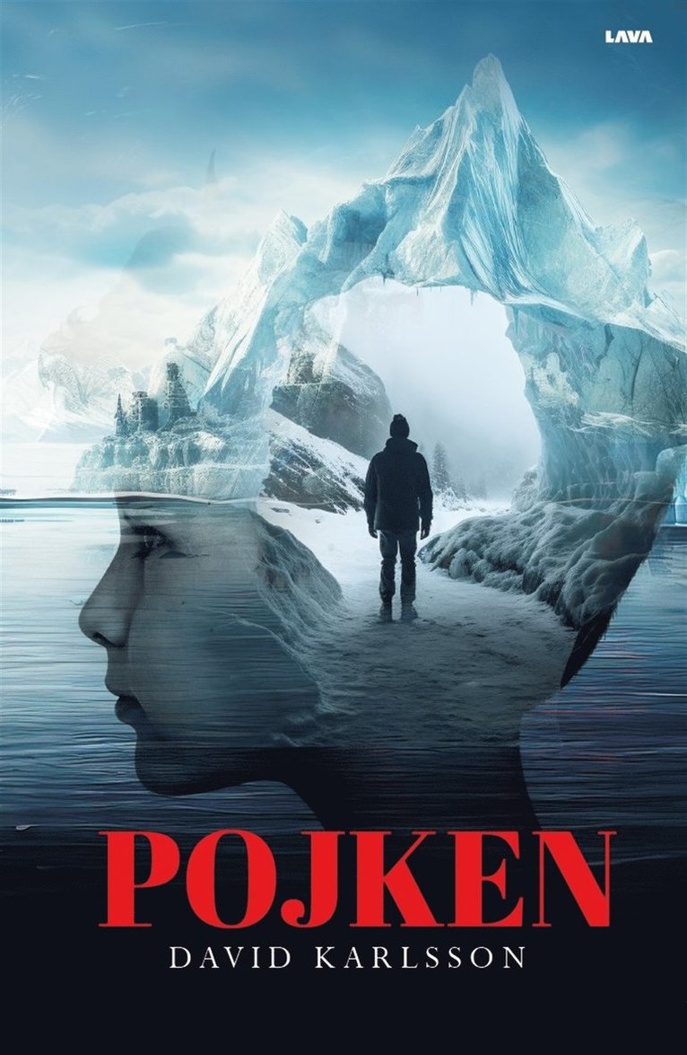 David Karlsson - Pojken, E-bok
