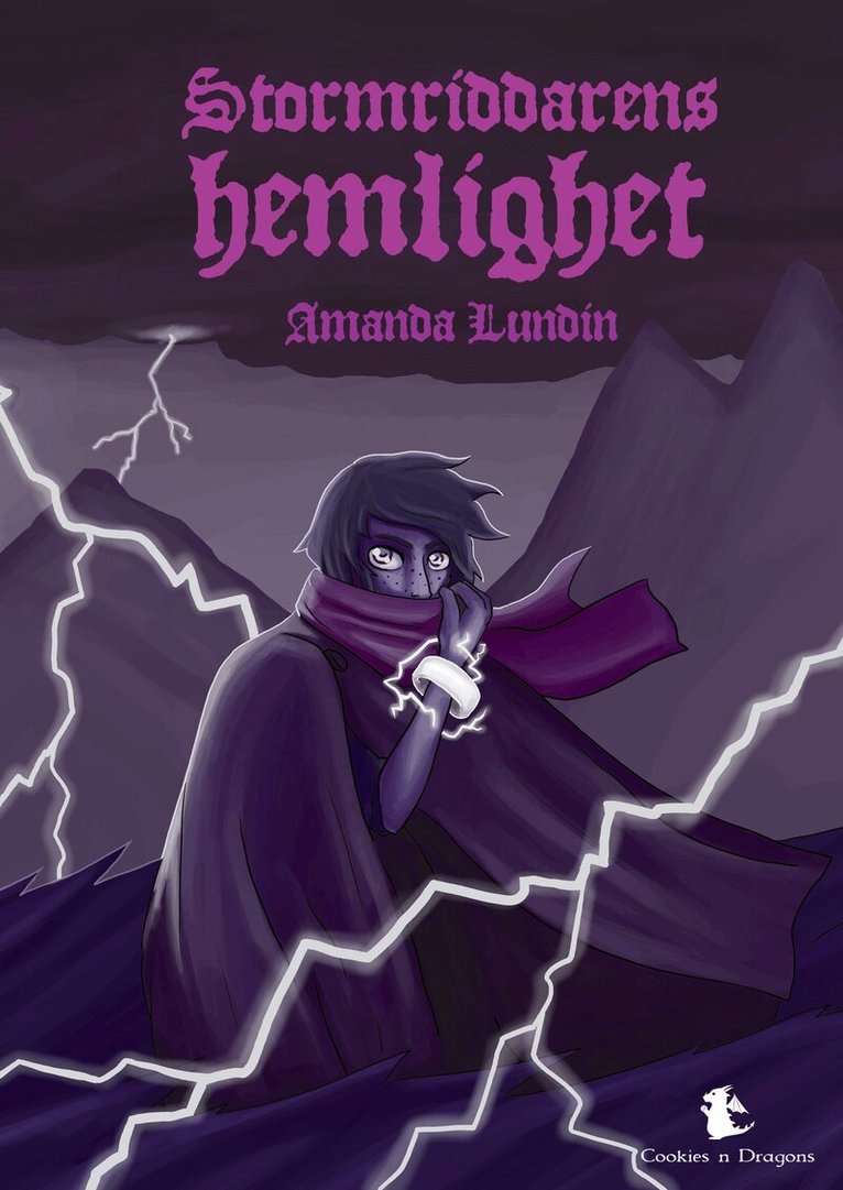 Amanda Lundin - Stormriddarens hemlighet, Kartonnage