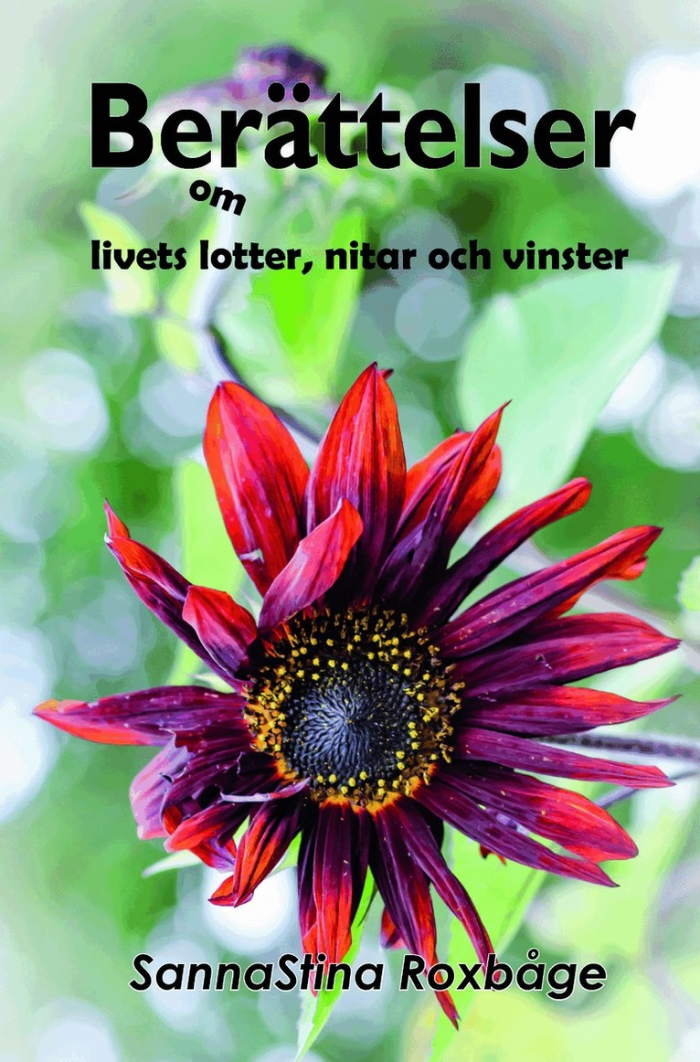 Berättelser om livets lotter, nitar och vinster, Storpocket