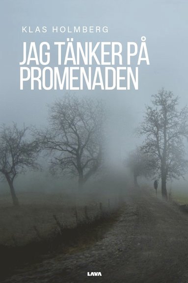 Klas Holmberg Jag tänker på promenaden