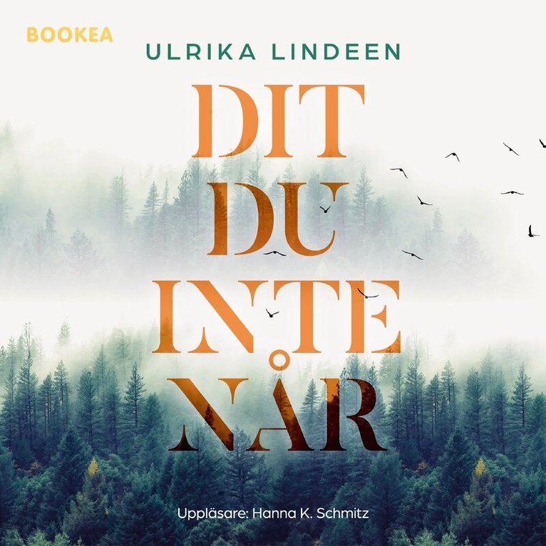 Ulrika Lindeen - Dit du inte når, Ljudbok