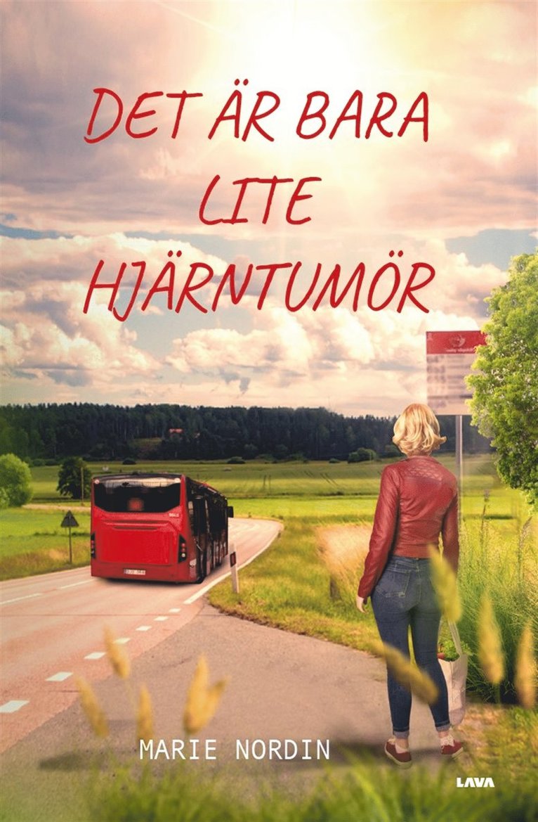 Marie Nordin - Det är bara lite hjärntumör, E-bok