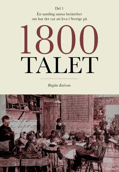 Birgitta Karlsson - En samling sanna berättelser om hur det var att leva i Sverige på 1800-talet, Häftad