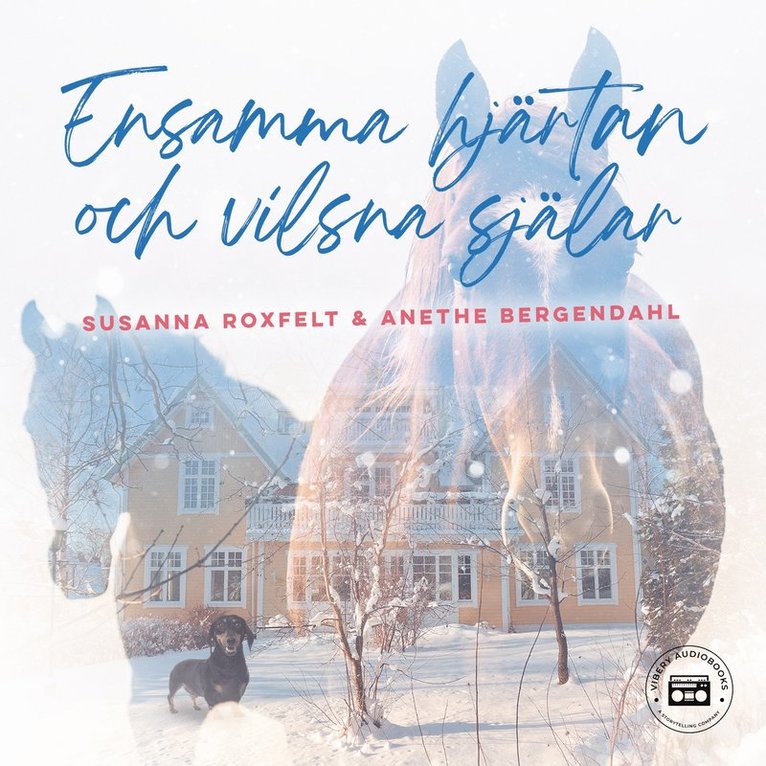 Anethe Bergendahl, Susanna Roxfelt - Ensamma hjärtan och vilsna själar, Ljudbok