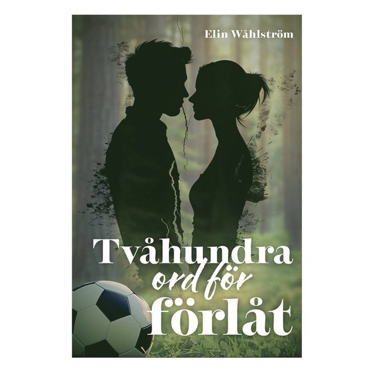 Elin Wåhlström, Malin Roca Ahlgren - Tvåhundra ord för förlåt, E-bok