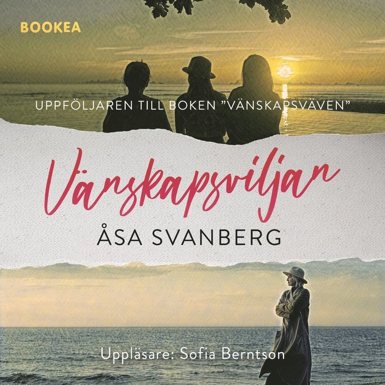 Åsa Svanberg - Vänskapsviljan, Ljudbok