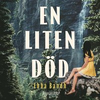 En liten dd
