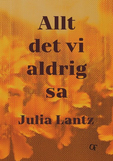 Julia Lantz Allt det vi aldrig sa