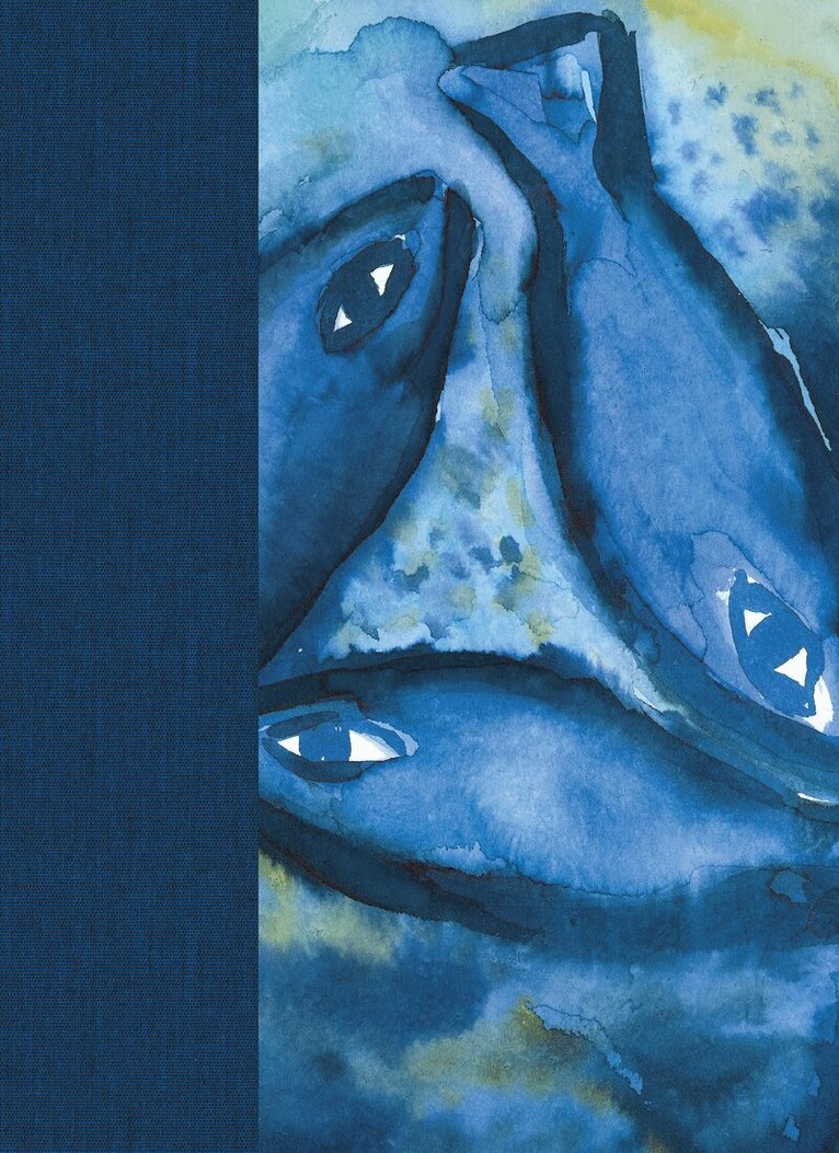 Bibel 2000 : Fiskbibeln Textil, Inbunden