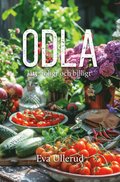 Odla : l�tt, roligt och billigt