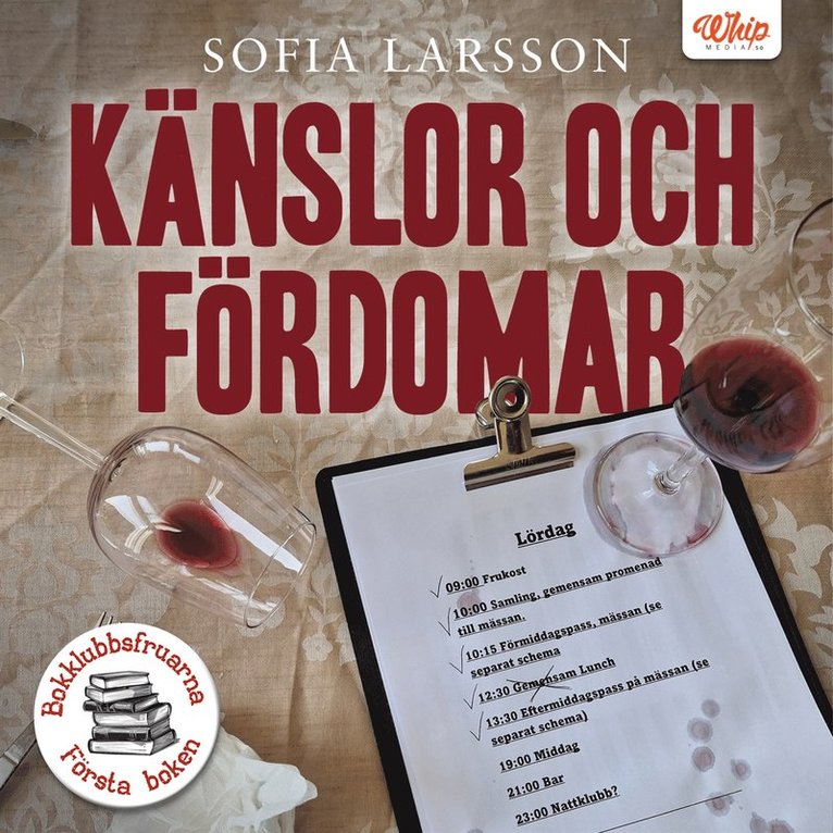 Sofia Larsson - Känslor och fördomar, Ljudbok
