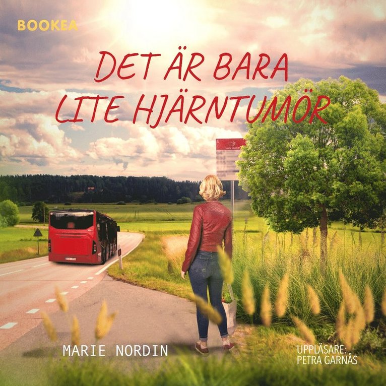 Marie Nordin - Det är bara lite hjärntumör, Ljudbok