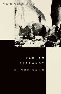 Genom snn: Berttelser frn Kolyma 1