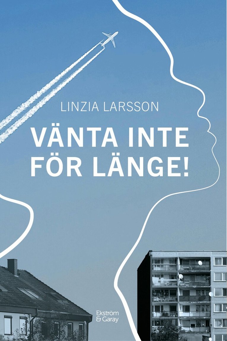 Linzia Larsson - Vänta inte för länge!, Inbunden