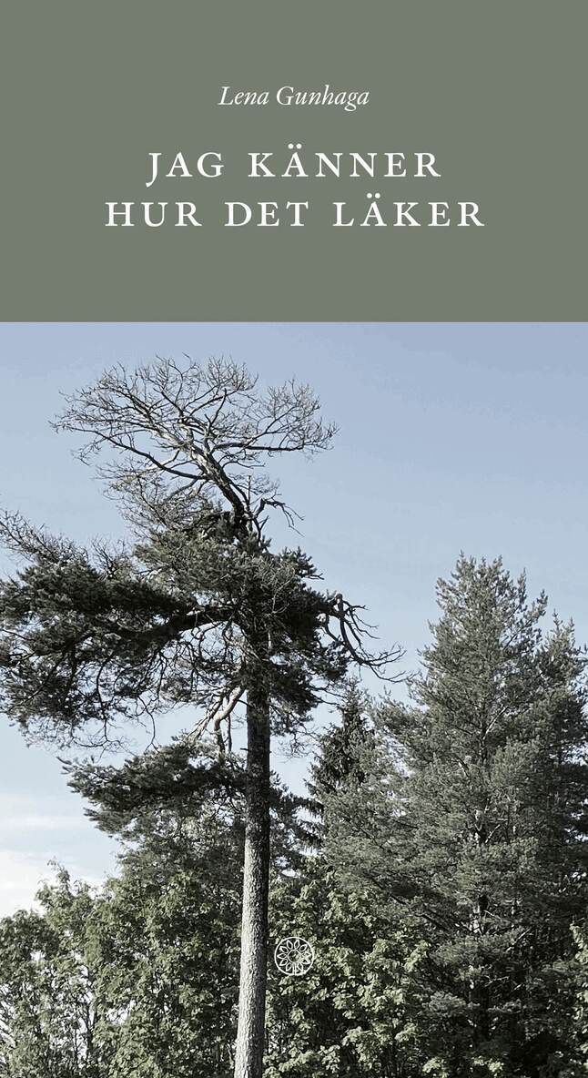 Lena Gunhaga - Jag känner hur det läker, Inbunden