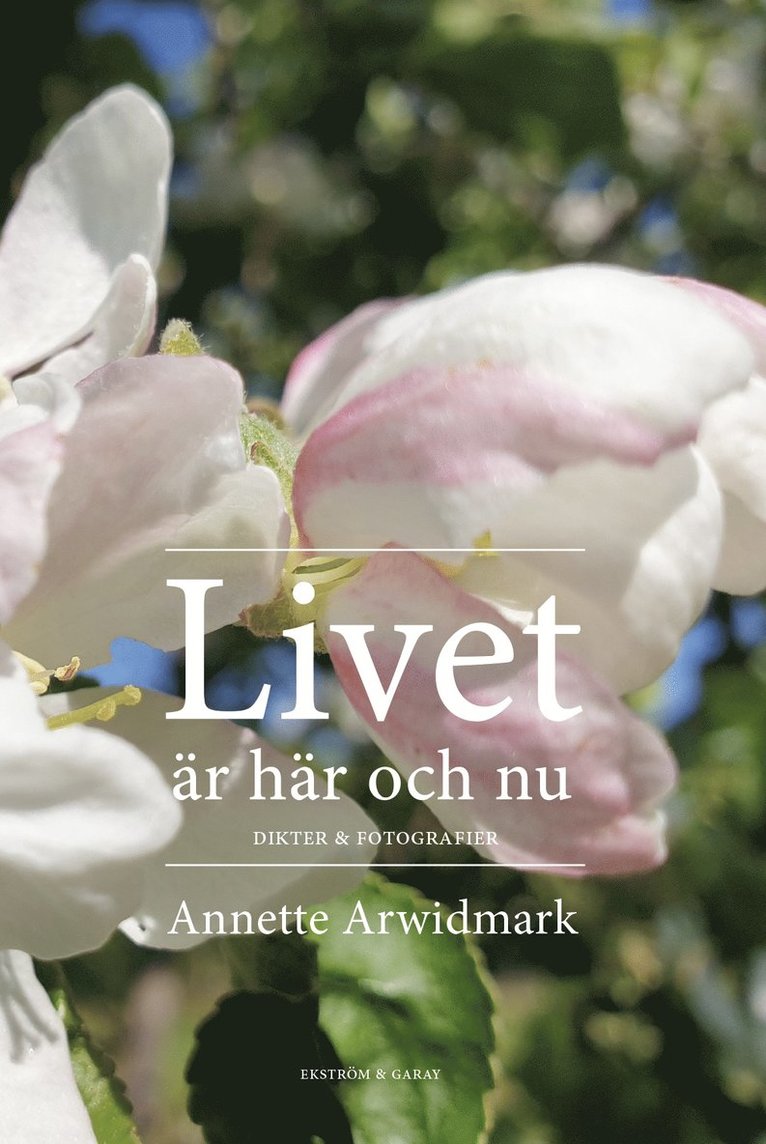 Annette Arwidmark - Livet: är här och nu, Inbunden
