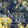 dets nycker: Orosmoln
