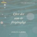 Efter det som r frgngligt