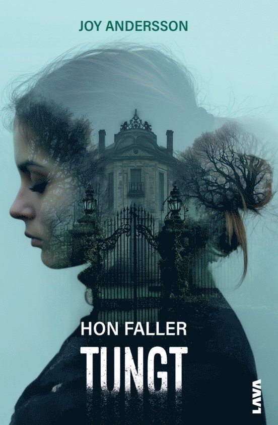 Joy Andersson - Hon faller tungt, E-bok