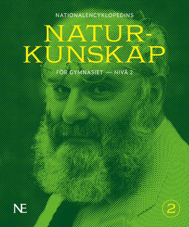 Rikard Ask, Fredrik Johansson, Mattias Loberg, David Olausson, Låtta Skogh - NE Naturkunskap för gymnasiet : nivå 2, Häftad