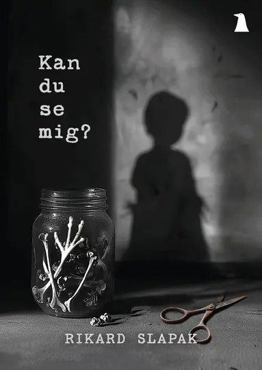 Rikard Slapak - Kan du se mig?, Häftad