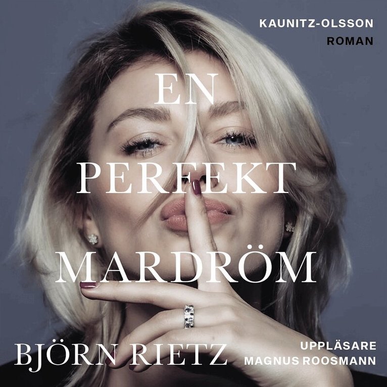 Björn Rietz - En perfekt mardröm, Ljudbok