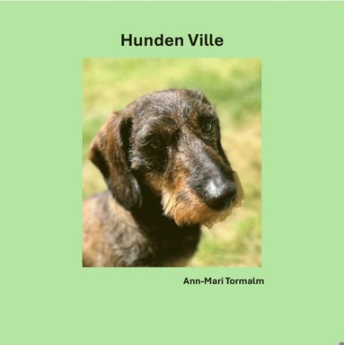 Ann-Mari Tormalm Hunden Ville