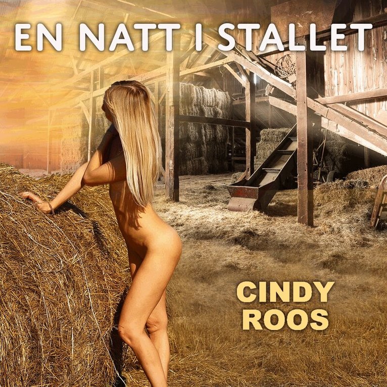 Cindy Roos - En natt i stallet, Ljudbok. Tillgänglighet: Lägg i varukorg