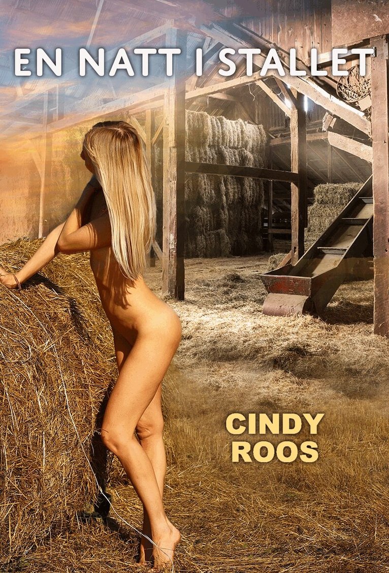 Cindy Roos - En natt i stallet, E-bok. Tillgänglighet: Lägg i varukorg