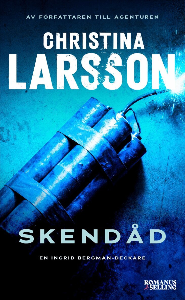 Christina Larsson - Skendåd, E-bok