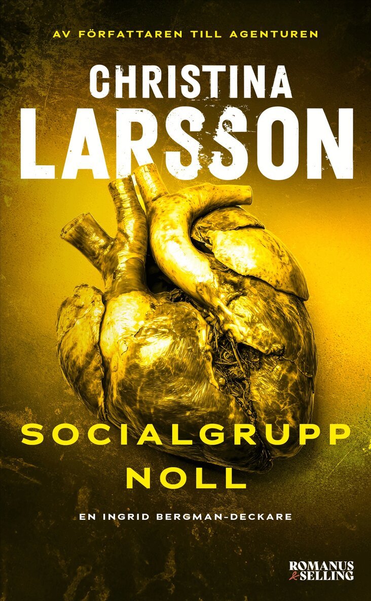 Christina Larsson - Socialgrupp noll, E-bok
